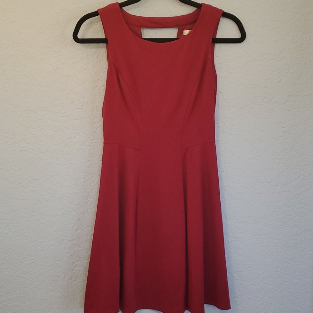 Skater Style Dress with Keyhole Back